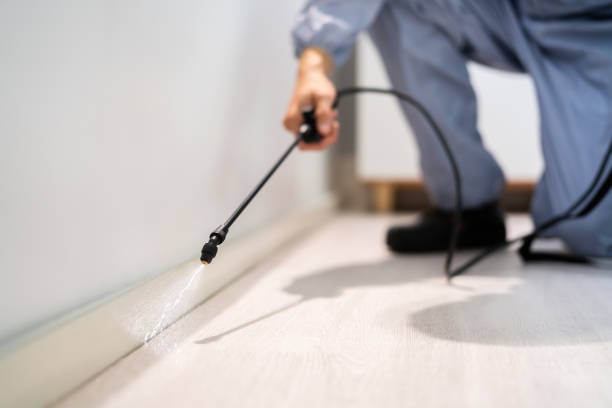 Licensed Mosquito Control service in Laurel Park, NC - Show Me Pest Control