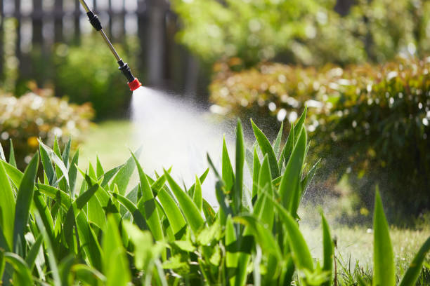 24/7 Emergency Mosquito Control experts in Laurel Park, NC