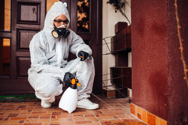 Reliable Mosquito Control contractor in Laurel Park, NC by Show Me Pest Control