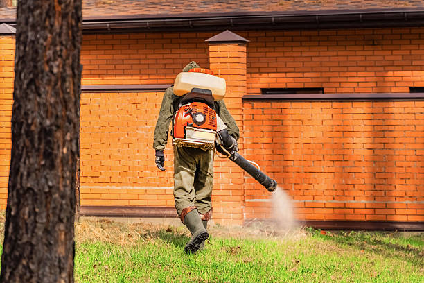 Top rated local Mosquito Control specialists in Laurel Park, NC